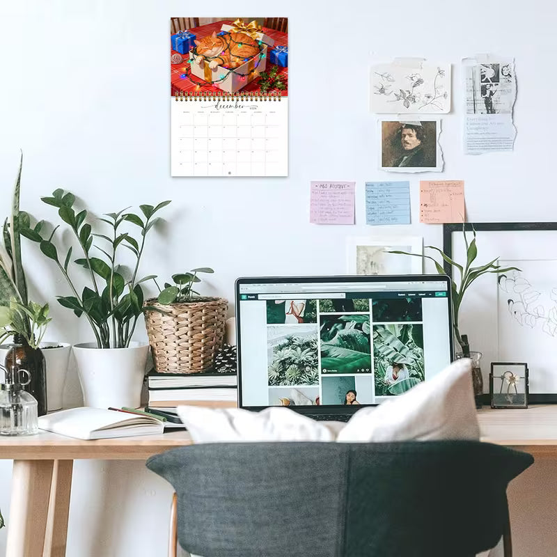 Kalenteri 2026 - Söpö oranssi kissa ja raidallinen kissa