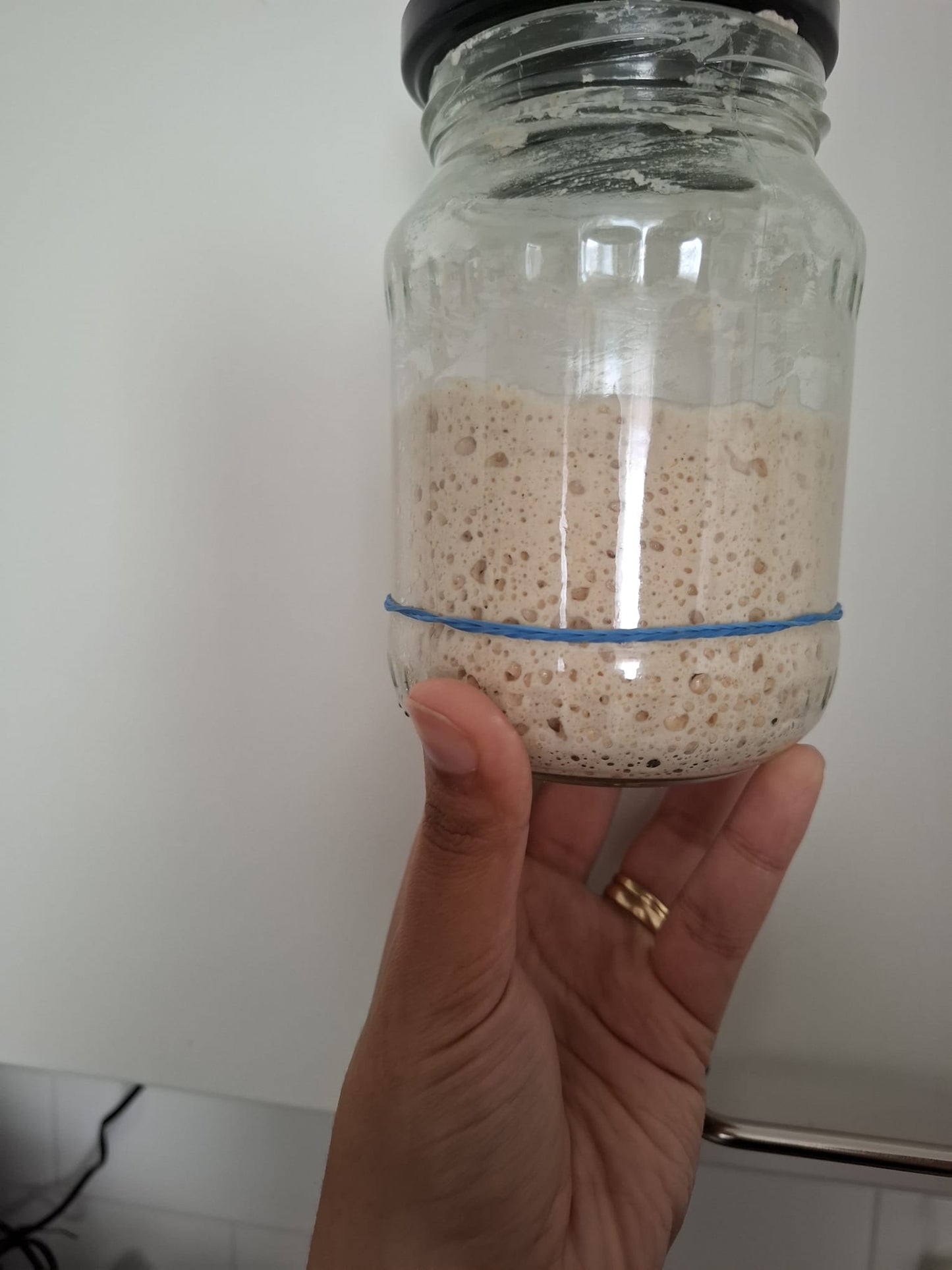 10g pouch of 100 year old dehydrated French sourdough starter fed with Finnish unbleached whole wheat flour