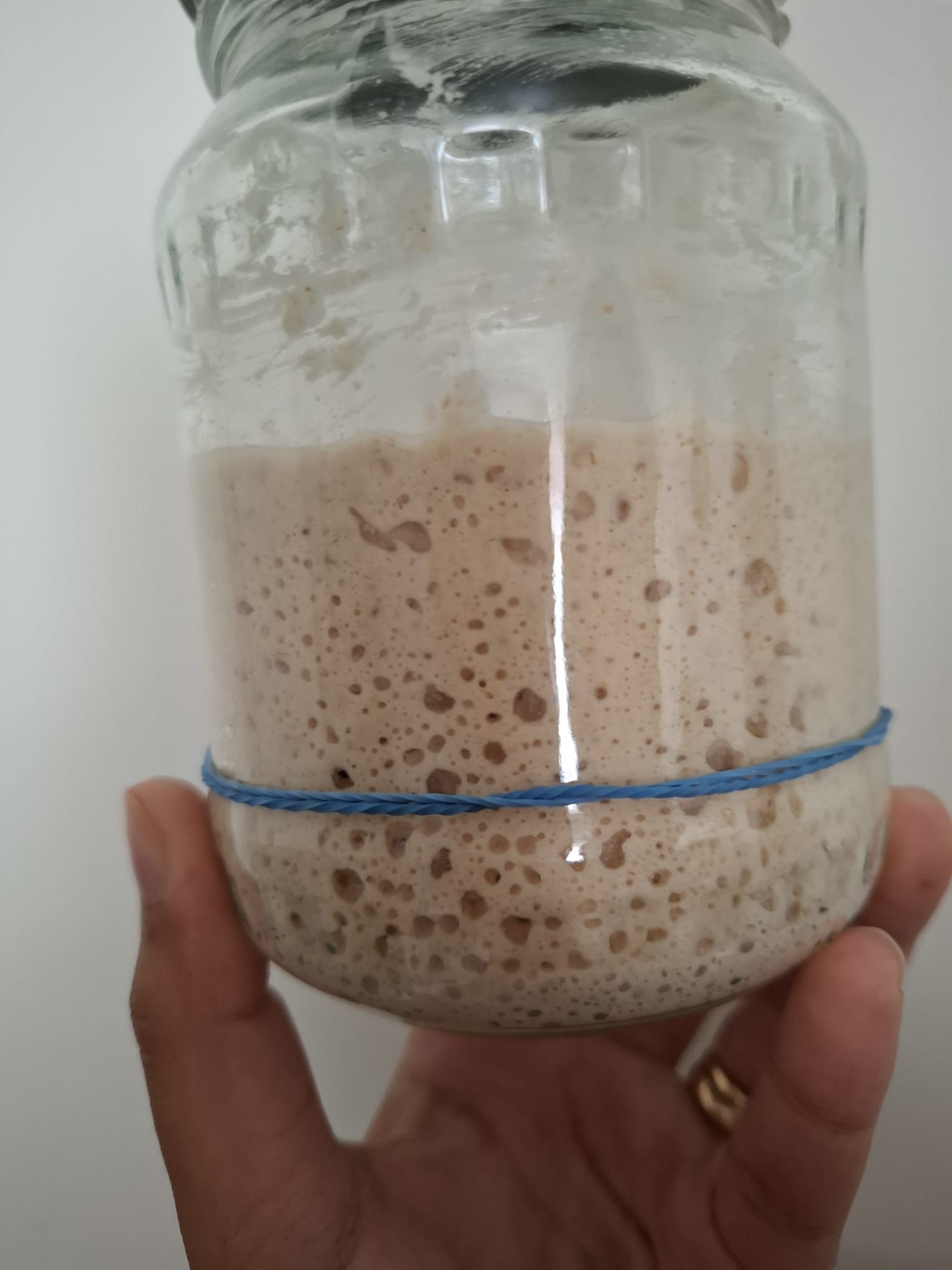10g pouch of 100 year old dehydrated French sourdough starter fed with Finnish unbleached whole wheat flour