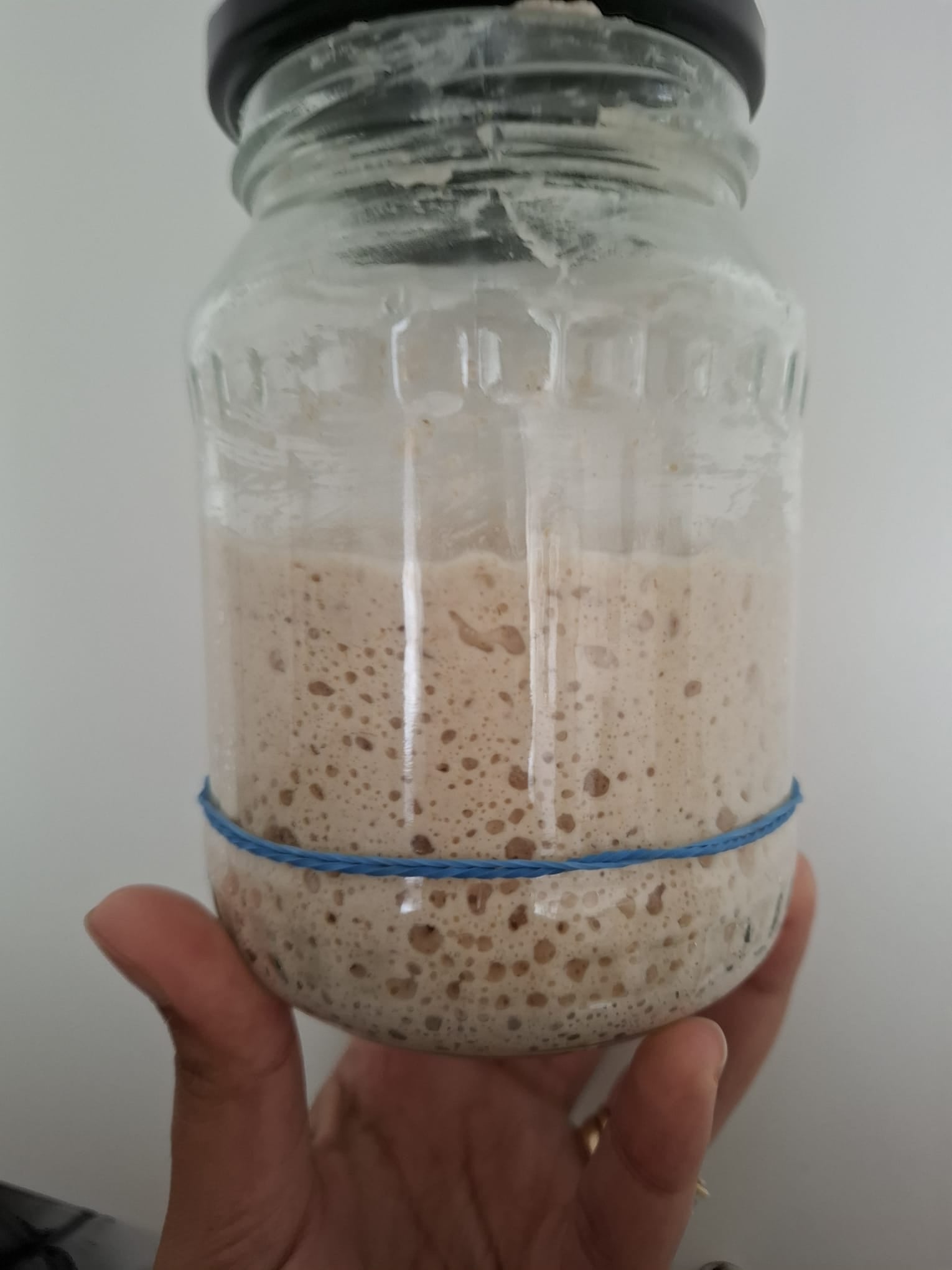 10g pouch of 100 year old dehydrated French sourdough starter fed with Finnish unbleached whole wheat flour