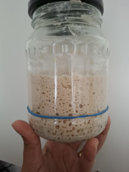 10g pouch of 100 year old dehydrated French sourdough starter fed with Finnish unbleached whole wheat flour
