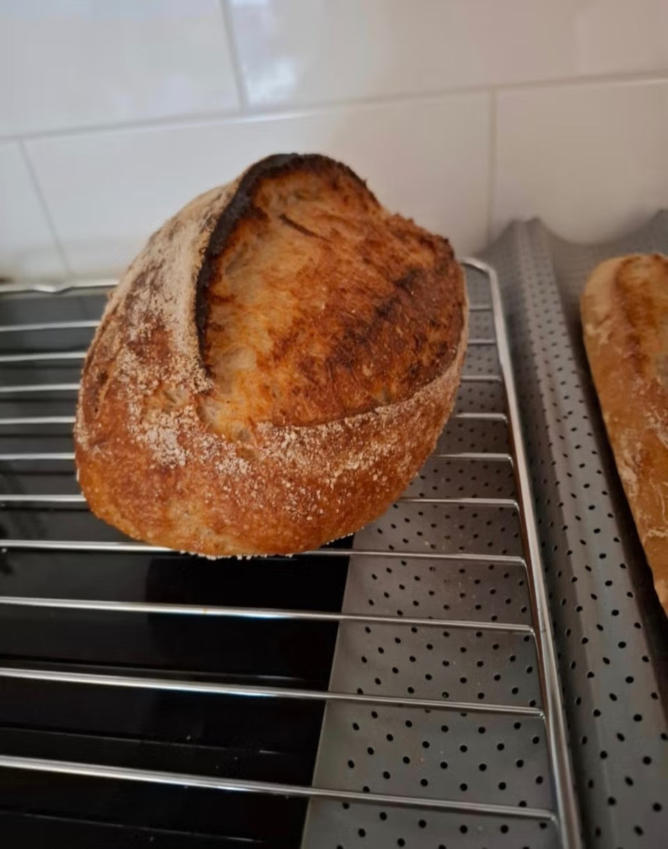 10g pouch of 100 year old dehydrated French sourdough starter fed with Finnish unbleached whole wheat flour