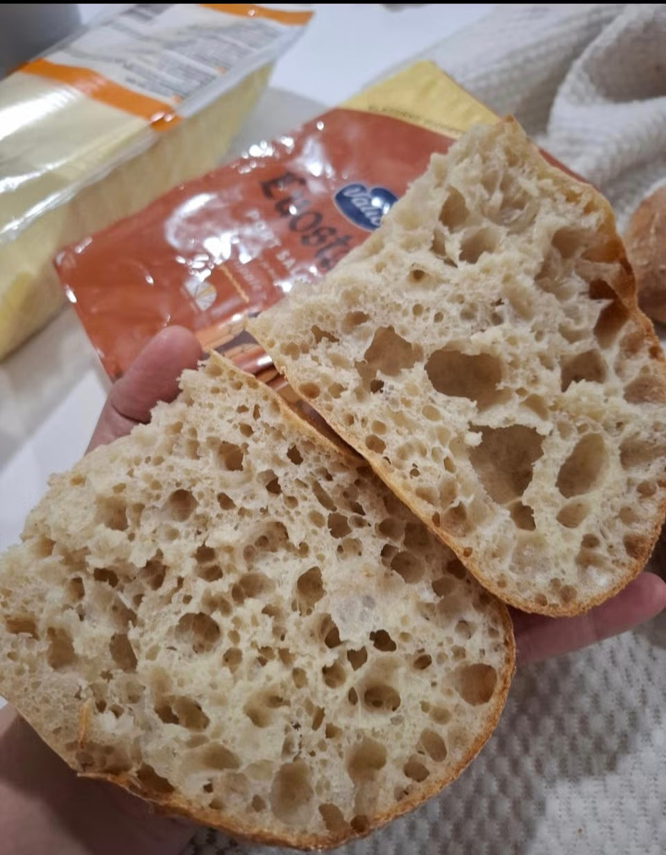 10g pouch of 100 year old dehydrated French sourdough starter fed with Finnish unbleached whole wheat flour
