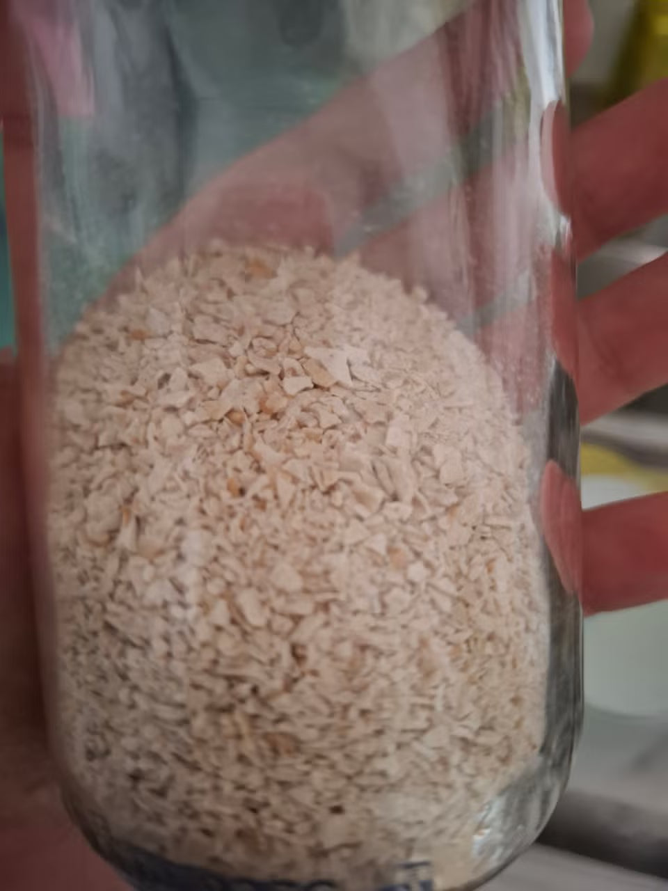 10g pouch of 100 year old dehydrated French sourdough starter fed with Finnish unbleached whole wheat flour