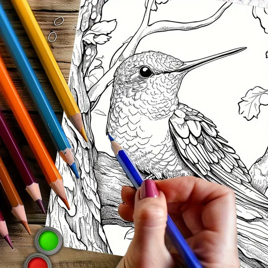 Charming Hummingbird coloring book värityskirja