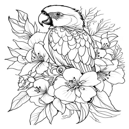 A free Bird coloring book värityskirja