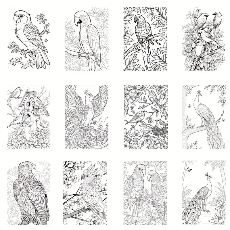 Coloring birds coloring book värityskirja