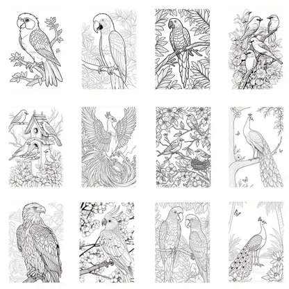 Coloring birds coloring book värityskirja